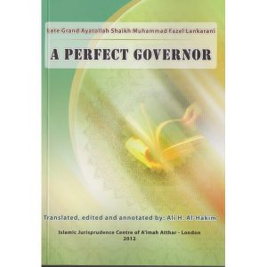 A PERFECT GOVERNOR (3)